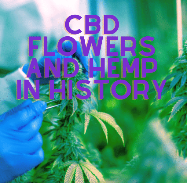CBD flowers and hemp in history